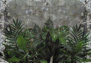 Fototapet - Perete de beton cu plante (147x102 cm)