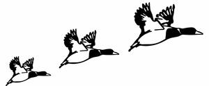 Decoratiuni perete DUCKS - 290, negru, metal