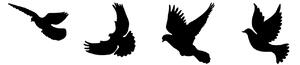 Decoratiune perete PIGEONS- 293, negru, metal