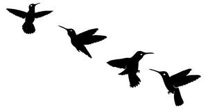 Decoratiune perete BIRDS - 292, negru, metal