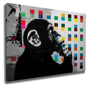 Tablou WY162, multicolor, panza, 100x70 cm