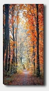 Tablou 451ERN1858, multicolor, panza, 50x120 cm
