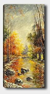Tablou 451ERN1906, multicolor, panza, 50x120 cm