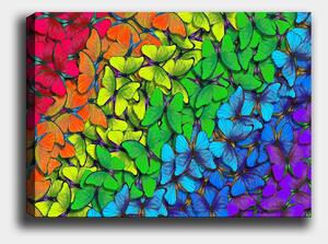 Tablou 441HPE1814, multicolor, panza, 100x70 cm