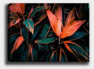 Tablou 529TCR1731, multicolor, panza/lemn, 70x50 cm