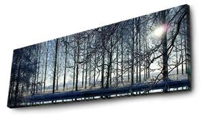 Tablou 3090DACT-37, multicolor, panza, cu iluminare LED, 90x30 cm