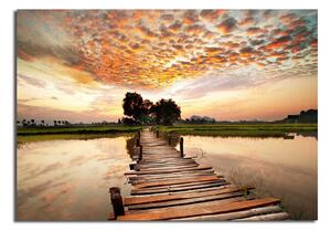 Tablou 70100C-111, multicolor, panza, 100x70 cm