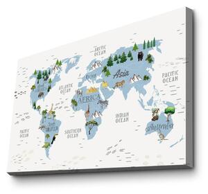 Tablou pentru copii 45x70 cm Map – Wallity