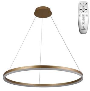 Brilagi - Pendul LED CIRCLE reglabil pe cablu, 55W/230V, 3000-6500K, auriu + telecomandă