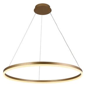Lustră LED dimabilă pe cablu Brilagi CIRCLE LED/55W/230V 3000-6500K auriu + telecomandă