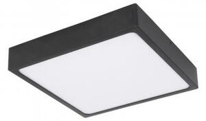 Plafoniera moderna led 22W Echo 12369-22 Globo