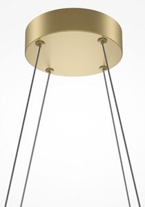 Maytoni MOD244PL-L50BSK - Lustra LED HALO, suspendată pe cablu, LED/40W/230V, aurie