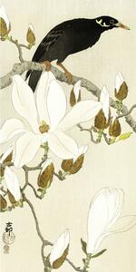 Myna On Magnolia Branch Reproducere, Ohara Koson, (20 x 40 cm)
