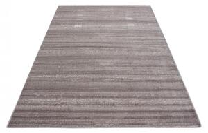 Covor Plus Bej 200x290 cm