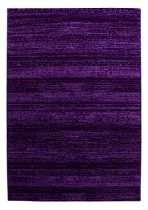 Covor Plus Lila V1 140 x 200 cm
