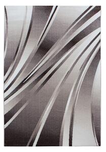 Covor Parma Maro V1 240x340 cm