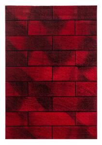 Covor Beta Rosu V1 240x340 cm