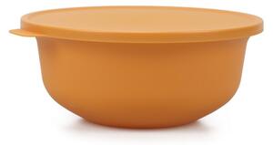Set 4 cutii de depozitare alimente 2380 - Aura, Verde Turcoaz Portocale GAlben