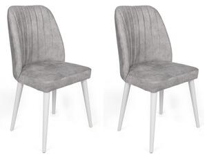 Set de 2 scaune Alfa-498, Gri- Alb