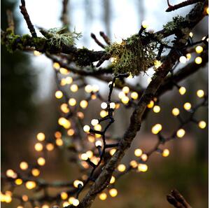 Eglo - Instalație luminoasă de exterior cu LED pentru Crăciun BERRY MINI, 700 de LED-uri, 8 funcții, 19 m, IP44, alb cald
