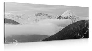Tablou natura iarna alb-negru