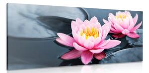 Tablou floare de lotus pe lac