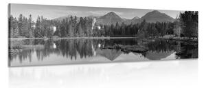 Tablou panoramă inedită a munților lângă lac alb-negru