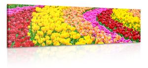 Tablou lalele multicolore