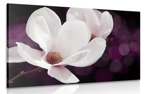 Tablou magnolie pe fundal abstract