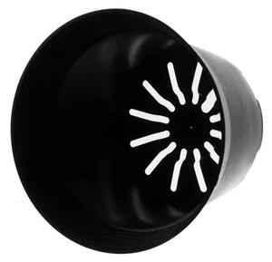 Set ghivece, 500 bucati, capacitate 2L, rezistenta temperaturi inalte, plastic, negru
