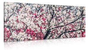 Tablou flori de piersică