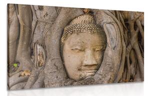 Tablu Budha și smochinul sacru