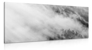 Tablou pădure în ceață în design alb-negru