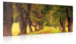 Tablou alee prin pădure de toamnă