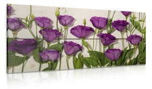 Tablou flori violete frumoase