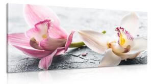 Tablou flori de orhidee