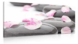 Tablou pietre de wellness cu petale
