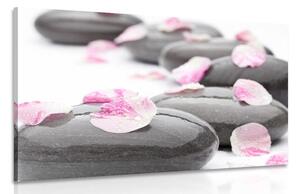 Tablou petale pe pietre de wellness