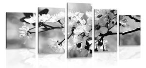 Tablou 5-piese floare de cireș în design alb-negru