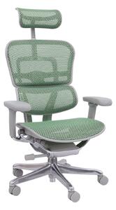 Scaun de birou Ergohuman 2 Elite GS Green