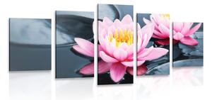 Tablou 5-piese floare de lotus în lac