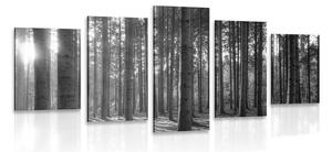 Tablou 5-piese dimineața în pădure în design alb-negru