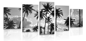 Tablou 5-piese palmieri de cocos pe plajă în design alb-negru