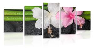 Tablou 5-piese wellness natura moartă
