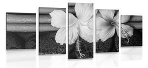 Tablou 5-piese wellness natura moartă în design alb-negru