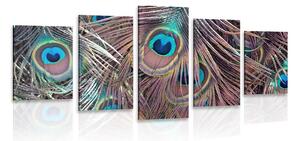Tablou 5-piese pană de păun