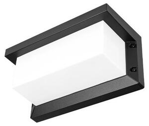 Corp arhitectural Lagos 2, 1 LED E27 50W, montare pe fatada, aluminiu si PC, IP54