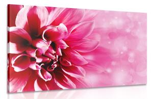 Tablou floare roz