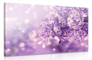 Tablou floare violeteă de liliac