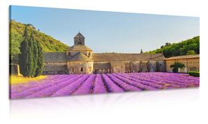 Tablou Provence cu câmpuri de lavandă